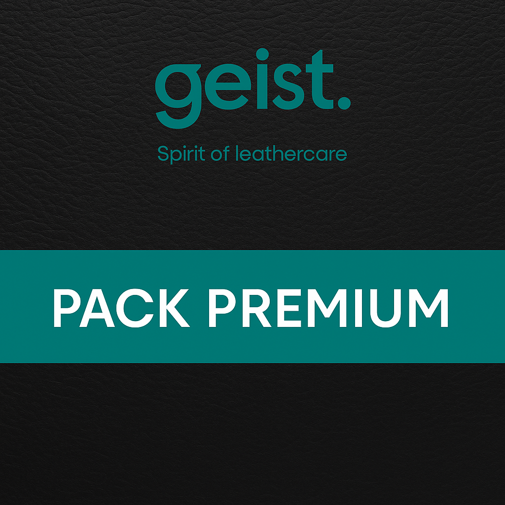 Pack Premium Geist – Kit complet de rénovation et réparation cuir
