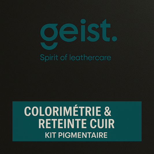 Pack Colorimétrie & Reteinte Cuir Geist – Kit pigmentaire