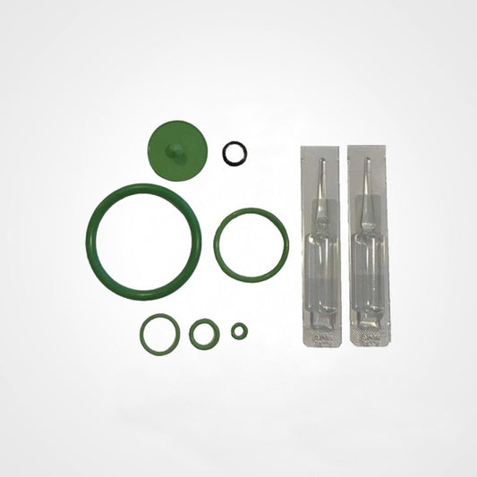Kit de joints + pipette de lubrification pour ORION ACIDE