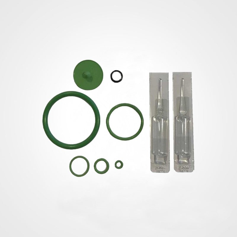 Kit de joints + pipette de lubrification pour ORION ACIDE